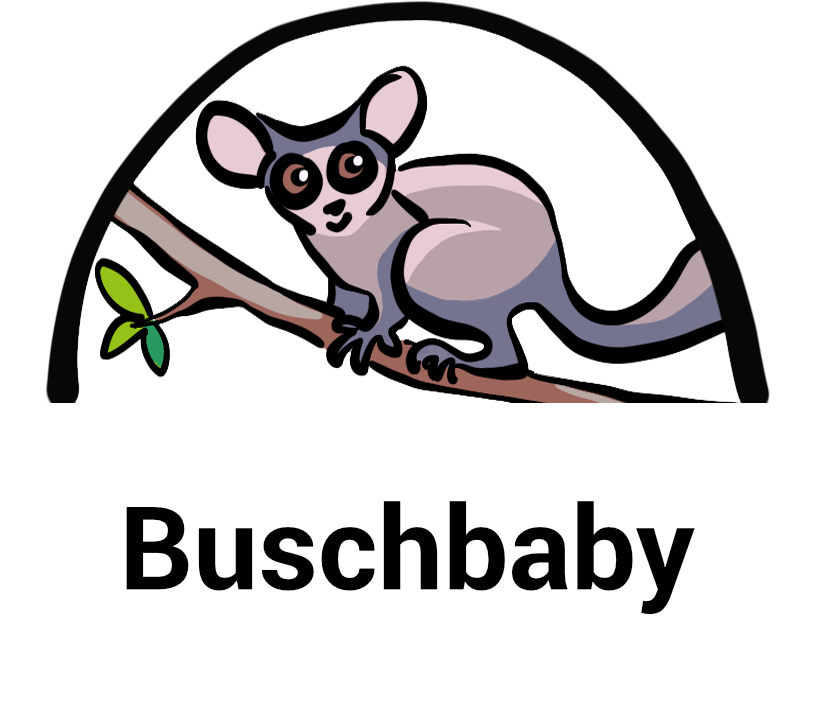 Buschbaby