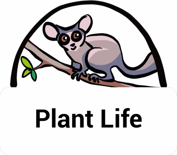 Plant Life