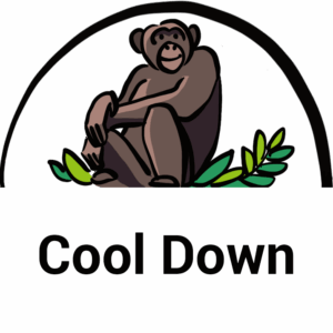 Cool Down