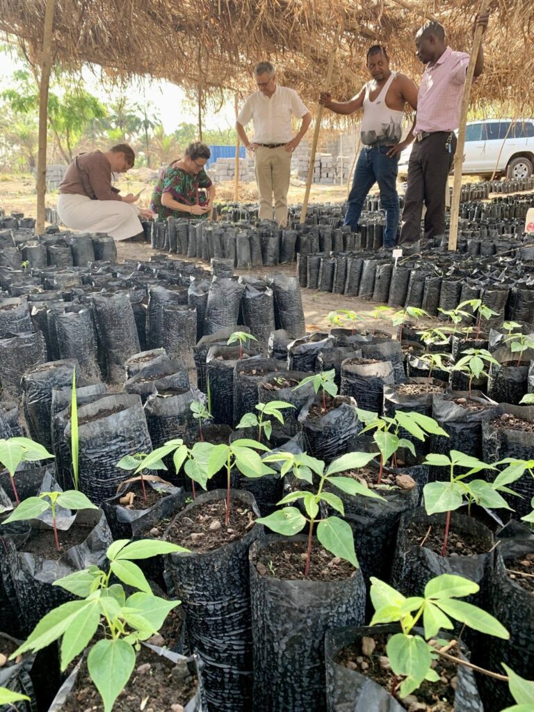 His Excellency at the Baum-Kindergarten